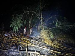 Rumpun Bambu Terbakar Hebat, Masyarakat Desa Badamita Panik Takut Api Menjalar ke Rumah Warga