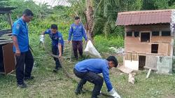 Warga Resah, Dua Ekor Ular Piton Ditangkap di Mateng