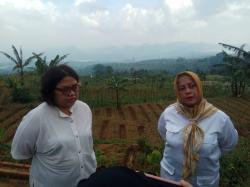 Legislator Tina Wiryawati Lirik Pengembangan Budidaya Kopi asal Kuningan