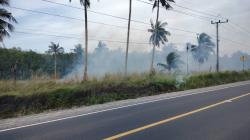 Akibat Puntung Rokok, Hutan Pinggir Pantai Kurau Terbakar