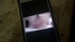 Astaga, Anggota DPRD di NTT Pasang Foto Alat Kelamin di Story WA