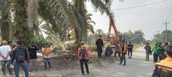 PTPN II Okupasi Lahan di Desa Buluhcina Hamparanperak