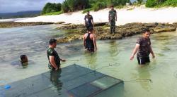 Pemberdayaan Laut Selatan, Kodim 0611/Garut Gandeng Warga Pesisir Pantai Budidayakan Lobster