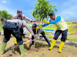 Peringati hari Air Sedunia, Kapolres Pidie dan Balai Wilayah Sumatera Gelar Penanaman Pohon di Waduk