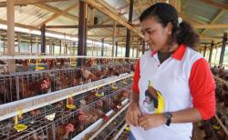 Papua Youth Creative Hub Motor Jadi Sentral Pengembangan SDM Muda Papua