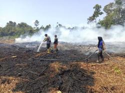 25 Hektare Lahan di Bengkalis Terbakar