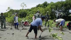 Cegah Abrasi, Kodim Pemalang Tanam 1000 Pohon Mangrove di Pesisir Pantai