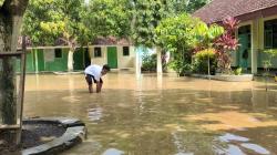 Tanggul Sungai Jebol, Banjir Rendam Permukiman Dan Persawahan