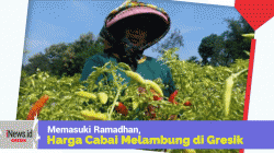 Memasuki Ramadhan,  Harga Cabai Melambung Mencapai Rp 90 ribu Per Kilogram