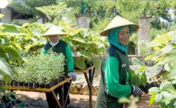 Bekas Tambang Pabrik SIG Tuban Jadi Lahan Green Belt, Ijo Royo-Royo