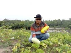 Ngabuburit Asyik di Perkebunan Timun Suri Talanca Lebak Selatan, Bisa Langsung Petik Sendiri