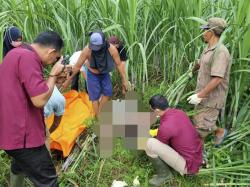 Mayat Perempuan Ditemukan di Ladang Tebu, Diduga Baru Melahirkan, Terdapat Jasad Bayi di Antara Paha