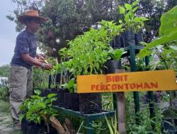 Angkat Ekonomi Warga, Taman Tabalong Cirebon Digunakan untuk Pembibitan Tanaman