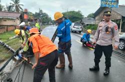 Ketika 7 Tiang Listrik di Jalan Pantai Anyer Roboh, Polisi Gercep Gatur Lalin