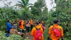 Tim SAR Gabungan Mencari Sulin di Kebun Teh Purwodadi