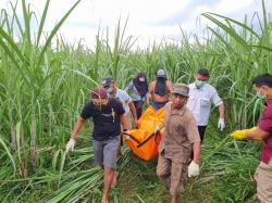 Diperiksa Polisi, Pelaku pembunuhan Wanita di Ladang Tebu Menyebut Sang Istri Open BO