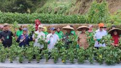 Panen Raya Edamame Pesantren Daarul Insan Istiqomah Hidupkan Lahan Tidur dan Hasilkan Ratusan Juta