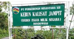 Polres Bondowoso Ringkus 10 Pelaku Pencurian di Gudang Kopi PTPN 12 Sempol