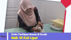 Jelang Lebaran, Order Penitipan Hewan di Gresik Naik 10 Kali Lipat