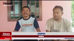 VIDEO Warga Tangkap 2 Ular Sanca Kembang Panjang 2,5 dan 3 Meter yang Masuk Pemukiman di Tasikmalaya
