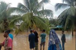 Sadis, Banjir Bandang Setinggi Pohon Kelapa Terjang Ratusan Rumah Warga  di Jambi