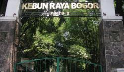 Segini Harga Tiket Masuk Kebun Raya Bogor, Tempat Wisata Tertua di Indonesia