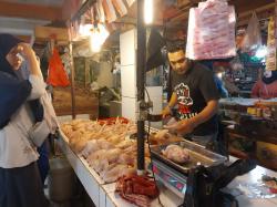 Apddas Cianjur : Harga Daging Ayam Potong Berangsur Turun