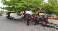 Libur Lebaran Naik Andong Keliling Kota Demak Hanya Rp50 Ribu