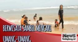 Intip Serunya Berwisata  Sambil Mencari Umang-umang  di Pantai