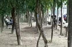 Kondom Bekas Berserakan di Taman Jalan Veteran Bojonegoro, Diduga Jadi Ajang Mesum