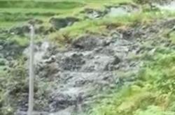Viral Sawah Digulung Lumpur di Ponorogo, BPBD Sebut Likuifaksi