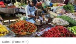 Usai Lebaran 2023, Harga Bawang Merah hingga Beras Stabil 