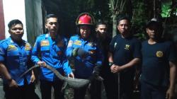 Biawak Masuk Rumah Gegerkan Warga