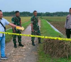 Tersambar Petir Saat Panen di Sawah, Petani di Grobogan Meninggal Dunia