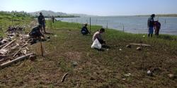 Jaga dari Abrasi, Masyarakat Tanami Pohon Mangrove di Pesisir Pantai Sindangbarang Cianjur