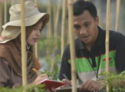 Hadapi Cuaca Ekstrem, Ewindo Perkuat Benih Unggul Sayuran