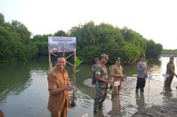 Lurah Warnasari Apresiasi Kodim 0623/Cilegon Tanam 500 Pohon Mangrove di Pesisir Pantai Tanjung Peni