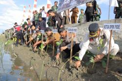 Peduli Lingkungan, Kodim 0102 Bersama Polres Pidie Tanam 5000 Magrove di Pesisir Pantai