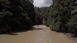 Seruan Kawal Ketat Tata Ruang Sumut: Lindungi Ekosistem Batang Toru Demi Keselamatan Warga