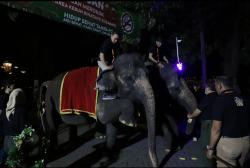 Indahnya Wisata KBS Malam Hari, Benar-Benar Ada Sensasi Berbeda, Ini Kondisinya