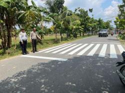 Zebra Cross Dibuat Rumbai, Ini Manfaatnya