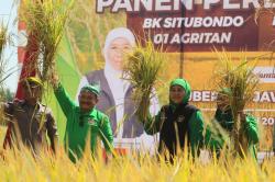 Gubernur Jatim Panen Perdana Padi BK, Harapkan Situbondo Menjadi Lumbung Padi Nasional