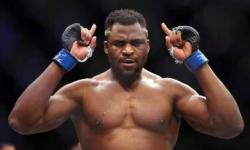 5 Alasan Francis Ngannou Pilih Tinju PFL Dibanding UFC