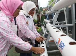 BRI Peduli “BRInita” Salurkan Paket Hidroponik Untuk Kelurahan Gurabesi Kota Jayapura