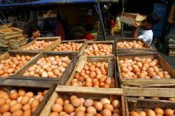 Harga Pakan Naik, Telur Ayam di Pasar Cianjur Meroket