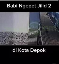 Heboh! Babi Ngepet Jilid 2 di Depok Tertangkap CCTV, Benarkah?