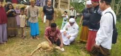 Puluhan Santri di Lebak Dilatih Sembelih Hewan Qurban