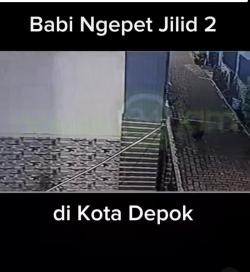 Viral Video Babi Ngepet Jilid 2 di Depok, Tertangkap CCTV Ingin Masuk Rumah Warga