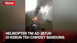 Helikopter TNI AD Jatuh di Kebun Teh Ciwidey Bandung, Semua Kru Selamat