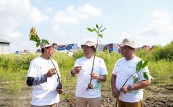 Pelindo Petikemas Hijaukan Area Pelabuhan, Tanam 55.000 Pohon Mangrove di Tepi Pantai di Asemrowo